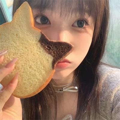 猪猪侠·不可思议的世界